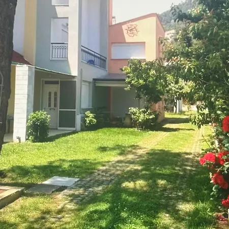 Sea Whisper , Golden Apartment